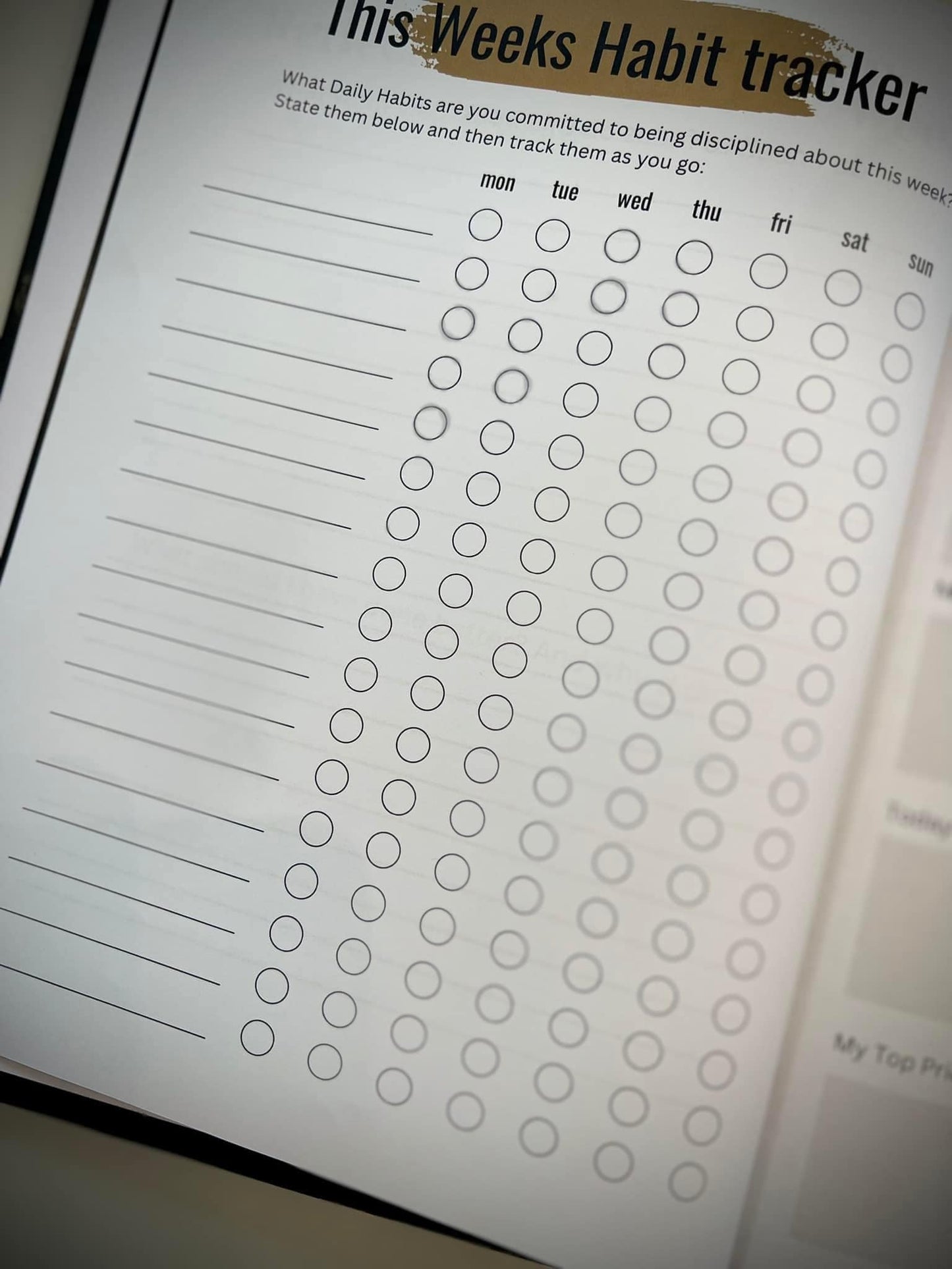 Success School Daily Planner & Journal